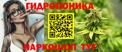 прущие крисы Будённовск