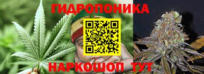 прущие крисы Будённовск