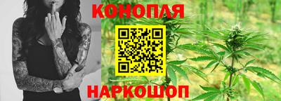 прущие крисы Будённовск