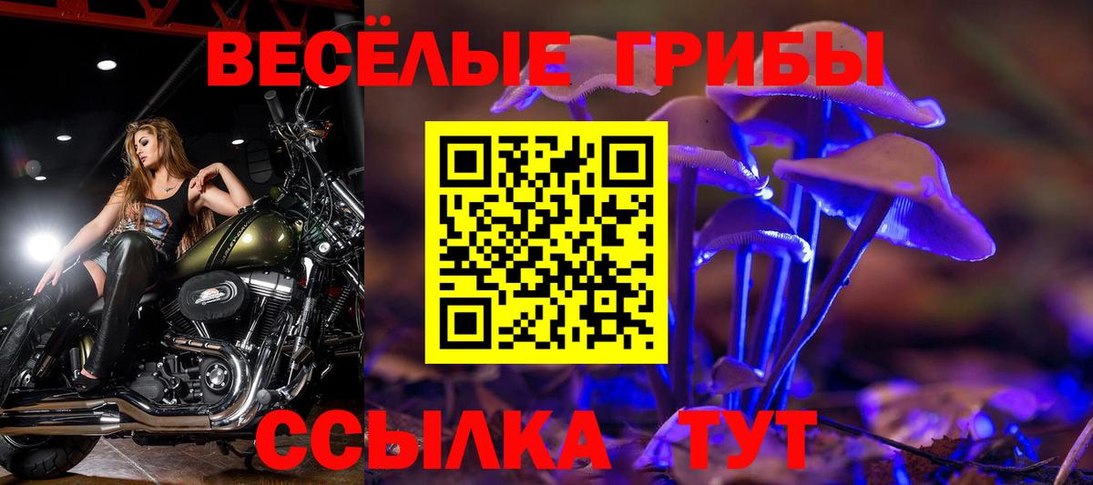 Галлюциногенные грибы MAGIC MUSHROOMS  Вход с VPN  Лобня  Псилоцибиновые грибы мухоморы 
